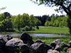 Sommarlandskap